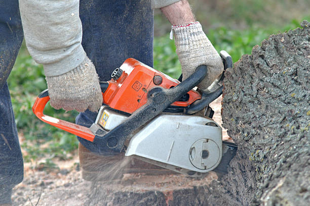 Best Aeration Services  in Fern Prairie, WA